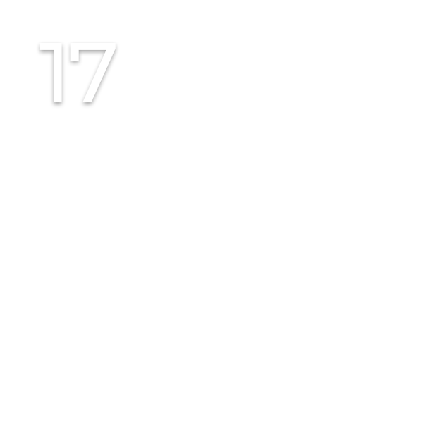T&uuml;r 17